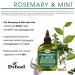Difeel Rosemary & Mint Hair Oil with Biotin | 7.1 oz Deluxe 2-PC Gift Set | Premium Hair Care for Stronger Hair - Buy Online on GoSupps.com