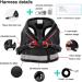 Buy Bojly Cat Dishes with Leash | Outbreak-Proof Safety Harness & Anti-Lost Bell for Dogs & Cats - Buy Online on GoSupps.com