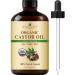 Handcraft Blends Cold-Pressed Organic Castor Oil in Glass Bottle - 4 Fl Oz - 100% Pure and Natural - Premium Grade Oil for Hair Growth Eyelashes and Eyebrows - Carrier Oil - Hair and Body Oil Organic Castor Oil in Glass Bottle 4 Fl Oz (Pack of 1)