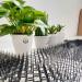 Cat Scat Mat 10 Pieces - Anti-Cats Network Spikes 20x6 - Cat Repellent Prickle Strips - Buy Online on GoSupps.com
