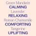 Plant Therapy KidSafe Calming The Child Essential Oil Blend 10 mL (1/3 oz) & KidSafe Sniffle Stopper Essential Oil Blend 10 mL (1/3 oz) - Buy Online on GoSupps.com