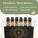 USDA Certified Organic Essential Oils Set - 100% Pure Aromatherapy Oils - Peppermint, Sweet Orange, Eucalyptus, Tea Tree, Lavender & Lemongrass - Premium Quality with Free E-Book - Buy Online on GoSupps.com