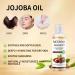 Organic Jojoba Oil 100ml - Moisturizing Oil for Skin, Face, Body, Hair & Nails - Buy Online on GoSupps.com