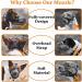 Adjustable Breathable Mesh Dog Muzzle - Gray M - Comfortable & Safe Muzzle for Dogs - Buy Online on GoSupps.com