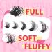 Eyelash Extension Kit Thick Cluster Lashes 280pcs D Curl Individual Eyelashes Lash Extension Kit with Eyelash Clusters Lash Glue Bond and Seal and Lash Tweezers by Goddvenus B-80D+100D Kit-A - Buy Online on GoSupps.com