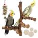 Allazon 4 pieces of birds natural wood seat rods natural grape stick Beckbags for birds birds toy bird parrot swing toys (styel 6) style 4