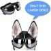 NVTED Dog Sunglasses | UV, Wind, Dust, and Fog Protection | Adjustable Strap | Medium/Large Dog Goggles (1 Pack) - Buy Online on GoSupps.com