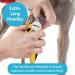 Dakpets Professional Dog Nail Clipper - Safety Lock Protective Guard & Free Nail File for Medium & Large Breeds - Buy Online on GoSupps.com