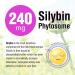 Maximum Milk Thistle 240mg - 90 Caps - Liver Detox Support with Silybin Phytosome - Natural Wellness - Buy Online on GoSupps.com