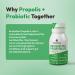 Bee and You Propolis Immune Shot Probiotic Vitamin C Vitamin D3 Zinc Ginger Immune Support Gut Health Digestive Health Bioactive 1.69 Fl. oz 12 Pack Ginger & Orange Juice - Buy Online on GoSupps.com