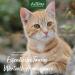 AniForte Taurine for Cats 100g - Essential amino acid for maintaining healthy retina immune system & metabolism maintenance of heart function & cardiovascular system - Buy Online on GoSupps.com