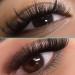 VAVALASH Cashmere Easy Fan Lashes | 0.03 0.05 0.07 C/CC/D/DD Volume | Matte Black Self Fanning Eyelash Extensions | 8MM-20MM | Professional Supplies for Lash Artists - Buy Online on GoSupps.com