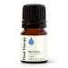 Plant Therapy Blue Tansy Essential Oil 100% Pure Undiluted Natural Aromatherapy Therapeutic Grade 2.5 mL (1/12 oz) 0.09 Fl Oz (Pack of 1)
