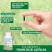 Chlorophyll Capsules - 90 pills - Cold Extracted from Non-GMO Alfalfa - Detox - Alkaline - Natural Body Deodorant Antioxidant - Made in Canada- PACK OF 2 - Buy Online on GoSupps.com