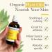 Pranarom - 4 Pack - USDA Certified Organic French Arnica Virgin Plant Oil - 2 fl oz Glass Bottle - Massage Oil for Body Relaxing Soothing for Joints & Muscles - Buy Online on GoSupps.com