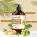 Sore Muscle Massage Oil 251ML - Pure Ginger & Mugwort Essential Oil Blend for Warming, Repelling Cold, and Relaxing Active Body Relief - Buy Online on GoSupps.com