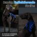 Rabbitgoo Breaking-Proof Dog Harness for Medium Dogs - Breathable Adjustable Padded Vest with Handle - Safe & Comfortable - Blue M - Buy Online on GoSupps.com