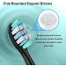 Toothbrush Replacement Heads for Philips Sonicare | Electric Brush Compatible with Click-on/Snap-on Models | International Shipping Available - Buy Online on GoSupps.com