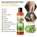 Cactus Juice Natural Soothing Moisturizer 8oz - Hydrating Dry Skin, Sunburns, Rashes & Itches - Buy Online on GoSupps.com