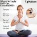 Frankincense and Myrrh Essential Oil Roll On for Pain Relief and Stress Reduction - Therapeutic Grade Aromatherapy Oils for Body Aches, Stiffness, Skin, and Nails - Buy Online on GoSupps.com
