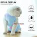 TORJOY Kitten Onesies | Cat Recovery Suit for Abdominal Wounds | Anti-Licking & Breathable | Surgery Wear for Skin Diseases | Blue, Size L - Buy Online on GoSupps.com