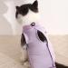 Tomtary Cat Surgical Recovery Suit Professional Cat Surgery Recovery Suit Anti Licking Cat Vest Body Suits Medical Care Cone Collar Alternatives Suit for Cats Weaning Wounds Skin Diseases(Purple M) - Buy Online on GoSupps.com