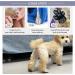 Wolancy 24 Pieces Dog Paw Protector - Anti-Slip Stickers for Traction on Hardwood Floors Self-Adhesive Foot Pads - 6 Sets M - Buy Online on GoSupps.com