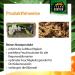 Terra Exotica Sphagnum Moss - Premium 300g Peat Moss for Garden Houseplants & Terrariums | Fast International Shipping - Buy Online on GoSupps.com