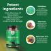 Pure Glutathione Amino Acid Supplement for Liver Support - With Glutamic Acid and Milk Thistle Seed Extract - Immune Boosting L Glutathione Pills - Buy Online on GoSupps.com
