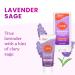 Lume Whole Body Deodorant - Invisible Cream + Solid Stick Mini Bundle - 72 Hour Odor Control - Aluminum & Baking Soda Free Skin Loving - 0.5 Ounce Each - Travel Trial Size Minis (Lavender Sage) - Buy Online on GoSupps.com