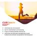 Vital Curcumin SLCP - 60 Vegan Capsules for Optimal Bioavailability & Anti-Inflammatory Support | Shop Internationally - Buy Online on GoSupps.com