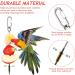 3PCS Stainless Steel Bird Skewers - Foraging Food Holder for Parrots & Small Animals - 20x16x12cm - Buy Online on GoSupps.com