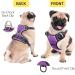 Heele Dog Crockery & No-Pull Harness | Reflective Padded Handle for Medium Dogs - Purple - Buy Online on GoSupps.com