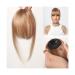 Bangs Hair Human Hair Bangs OverHead Clip in Hair Extensions Brown Natural Hairs Wispy Bangs Fringe Hairpieces for Women in Air Bangs Hair Extensions(HLH1004-3) Blunt Bangs HLH1004-3