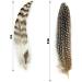 30 Pcs Natural Pheasant Feathers 15-22cm Assorted Wild Turkey Feather Guinea Fowl Quill DIY Craft Wedding Home Party Decor - Brown & White (2 Styles) - Buy Online on GoSupps.com