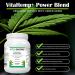 VitaHemp+ Power Blend Workout Drink |Vegan Hemp Seed Protein Shake Powder with Phyto-nutrients Essential Amino Acids Vitamin C & Fibre. Appetite Suppressant Reduces Bloating & Flatulence - Buy Online on GoSupps.com