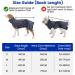 Happy Hachi Microfiber Dog Bathrobe - Super Absorbent Fast Drying Towel for Small Medium & Large Dogs & Cats | Gray XL - Buy Online on GoSupps.com