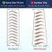 Bliss and Beyond USA Waterproof Eyebrow Tattoo Stickers - Real Hair Stroke Look for Hair Replacement, Solution for Hair Loss - Bushy Tinted Eyebrow Tattoos (Dramatic Hollywood Brown) - Buy Online on GoSupps.com
