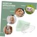 SEWOART Small Pet Ceramic Toilet Ceramic Pet Toilet Hamster Potty Cat Litter Boxes Pet Potty Rabbit Toilet Small Pet Cage Supply Indoor Bunny Potty Tray Dog Toilet Indoor Bunny Pet Toilet 24x18.5cm Light Green - Buy Online on GoSupps.com