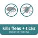Sergeant's Guardian Flea & Tick Cat Collar - 1 Count | Long-lasting Protection - Buy Online on GoSupps.com