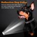 Buy PCEOTLLAR Reflective Dog Collar - Padded Adjustable Soft Neoprene for Small & Large Dogs (Orange 40-50cm) | International Shipping Available - Buy Online on GoSupps.com