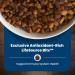 Blue Life Protection Formula Natural Dry Dog Food Puppy Lamb & Oatmeal 11.7kg Large Bag Puppy Lamb & Oatmeal - Buy Online on GoSupps.com