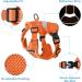 Petbonus Adjustable Cat Dishes & Harness Set - Breathable Soft Cat Bowls with Reflective Strips for Kittens - Small Size (Orange) - Buy Online on GoSupps.com