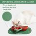 VETRESKA Non Slip Ceramic Cat Food Bowl | Tilted Feeding Bowls for Cats | Anti Vomiting Design | Wide Shallow Dish for Dogs and Puppies | Cherry - Buy Online on GoSupps.com