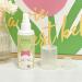 Bexdug Instant Cool Spray - 80ml Tropical Waters Peppermint Cooling Spray Mist Small Lightweight Instantly Reduce Temperature Spray Refreshing Protective Skin-friendly Spray For Outdoor Activities green dog - Buy Online on GoSupps.com