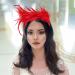 Feather Fascinator Headband Tea Party Headwear 1920s Headbands Flapper Headpieces 1920s for Women (Red) 1 Red - Buy Online on GoSupps.com