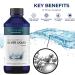 Optivida Health Colloidal Nano Silver Liquid 10PPM 16 Fl Oz - Immune Support & Healthy Immune System - All Natural SOL Liquid Solution - 1 Pack - Buy Online on GoSupps.com