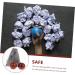 Beaupretty Handball Chinese Medicine Balls - Large Wooden Beads for Massage & Fitness | Comfortable Rolling Balls for Hand Training & Therapy - Buy Online on GoSupps.com