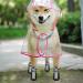 YAODHAOD Waterproof Breathable Dog Shoes for Hot Pavement | Anti-Slip Dog Summer Boots for Small Medium Dogs | 4PCS Size 4 Black - Buy Online on GoSupps.com