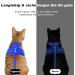 Supet Cat Dishes & Leash Set - Blue Swinging Kitten Harness with Reflective Stripes | Universal Fit for Cats/Puppies (44.5-49.5 cm) - Buy Online on GoSupps.com